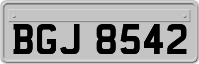 BGJ8542