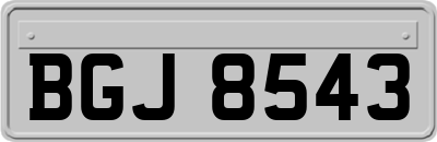 BGJ8543
