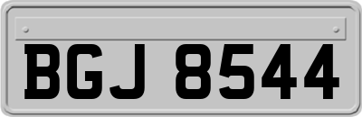 BGJ8544