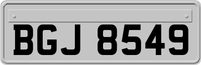 BGJ8549