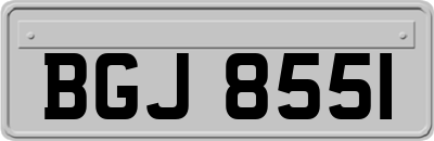 BGJ8551