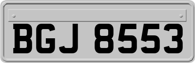 BGJ8553
