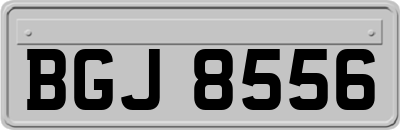 BGJ8556