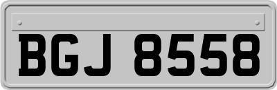 BGJ8558