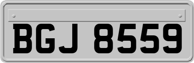 BGJ8559