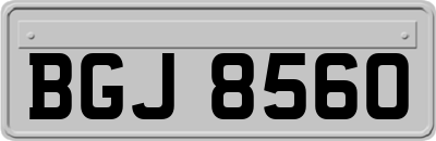 BGJ8560