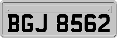 BGJ8562