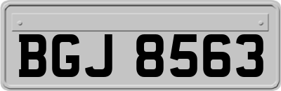 BGJ8563