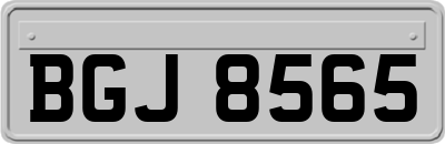 BGJ8565