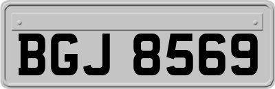 BGJ8569