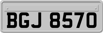 BGJ8570