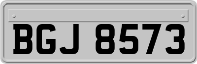 BGJ8573