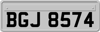 BGJ8574