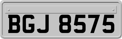 BGJ8575