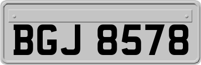 BGJ8578