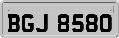 BGJ8580