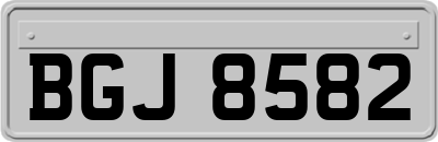 BGJ8582