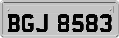 BGJ8583