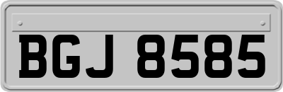 BGJ8585