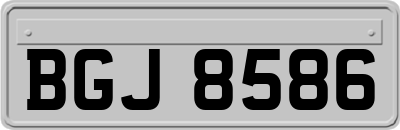 BGJ8586