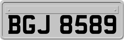 BGJ8589