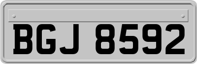 BGJ8592