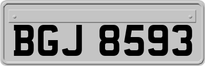 BGJ8593