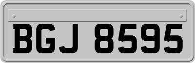 BGJ8595