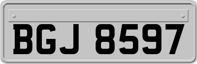 BGJ8597