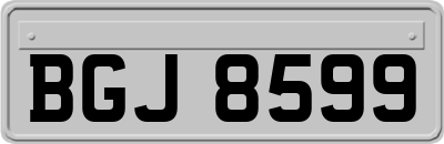BGJ8599