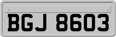 BGJ8603