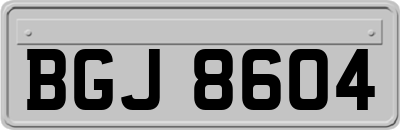 BGJ8604