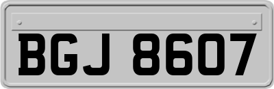 BGJ8607