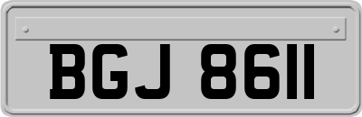 BGJ8611