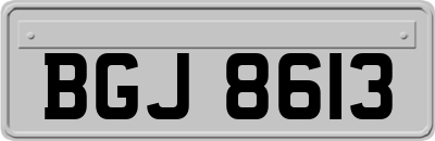 BGJ8613