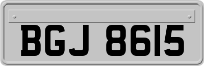 BGJ8615