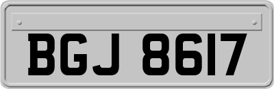BGJ8617