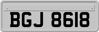 BGJ8618
