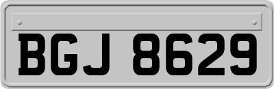 BGJ8629