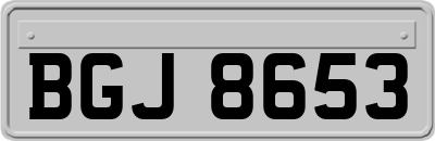 BGJ8653