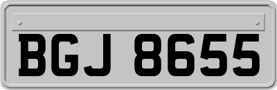 BGJ8655