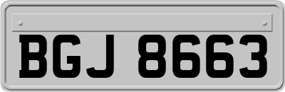 BGJ8663
