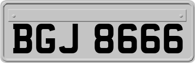 BGJ8666