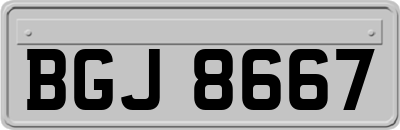 BGJ8667