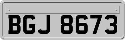 BGJ8673