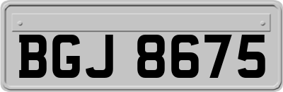 BGJ8675