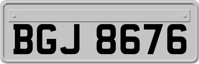 BGJ8676