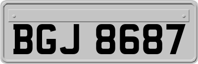 BGJ8687