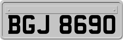 BGJ8690