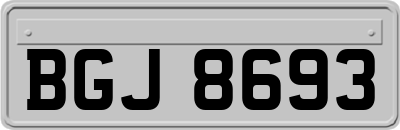 BGJ8693